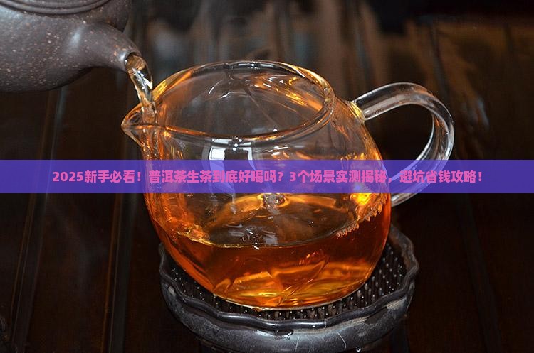 普洱茶生茶好么