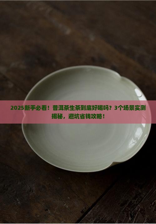 普洱茶生茶好么