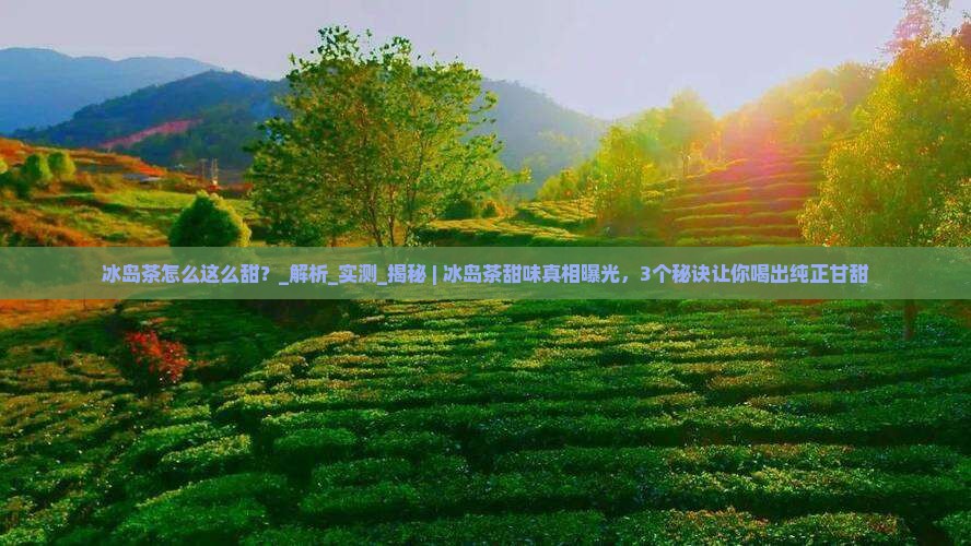 冰岛茶怎么这么甜