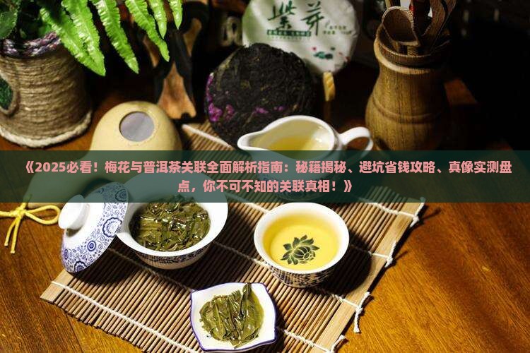 梅花与普洱茶的关联