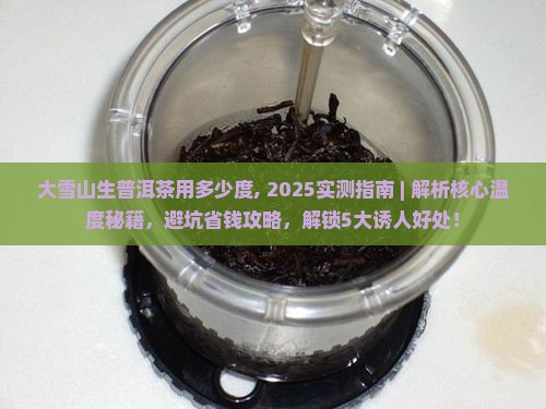 大雪山生普洱茶用多少度