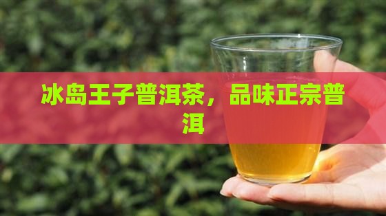 普洱茶冰岛王子