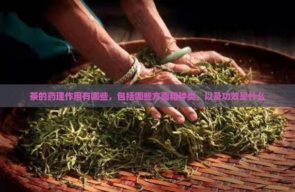茶的药理作用有哪些