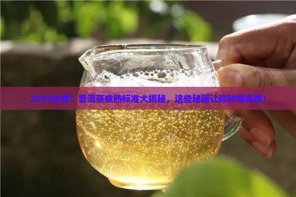 普洱茶的成熟标准