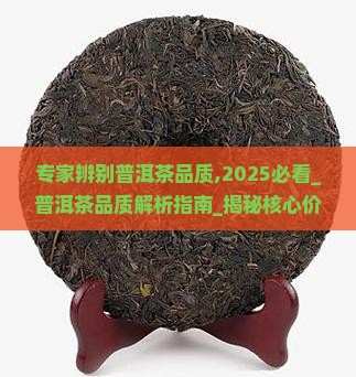 专家辨别普洱茶品质