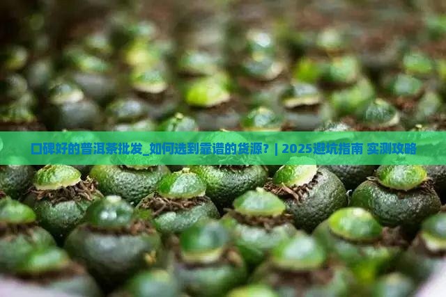 口碑好的普洱茶批发
