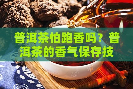 普洱茶怕跑香吗