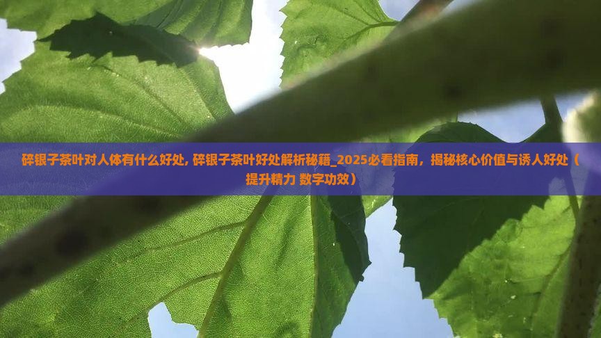 碎银子茶叶对人体有什么好处