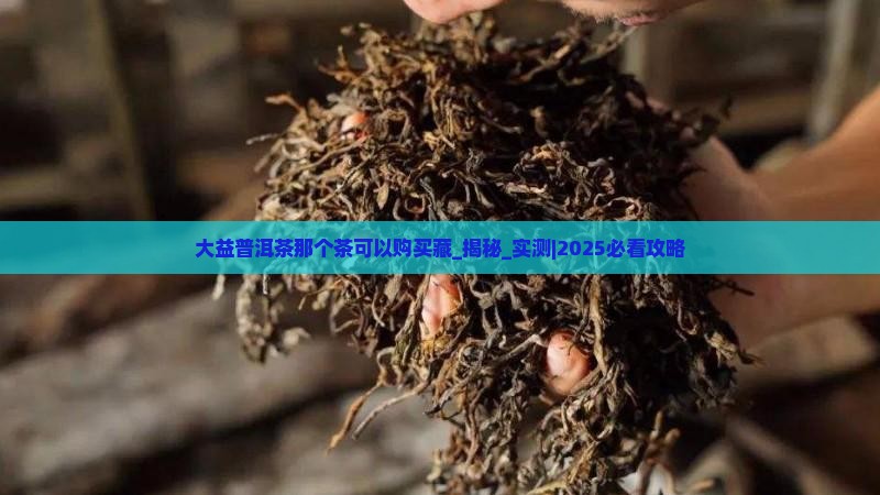 大益普洱茶那个茶可以购买藏