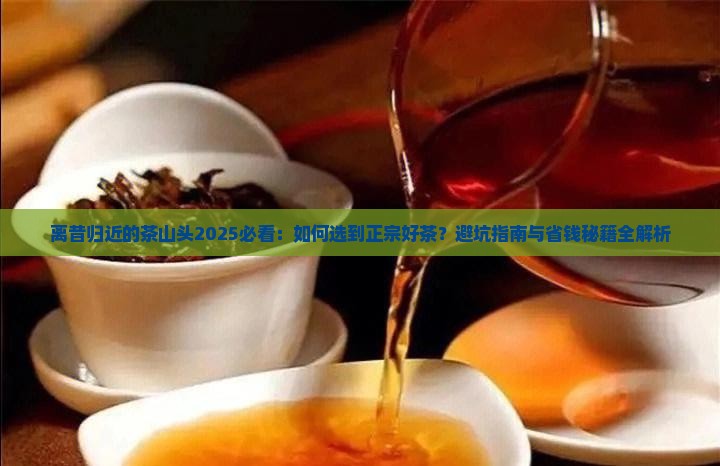 离昔归近的茶山头
