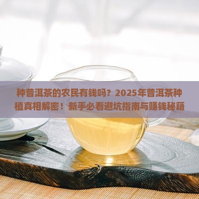 种普洱茶的农民有钱吗