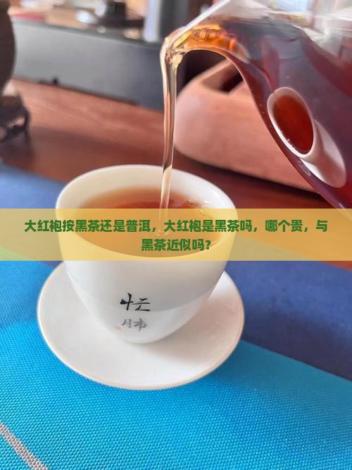 大红袍按黑茶还是普洱