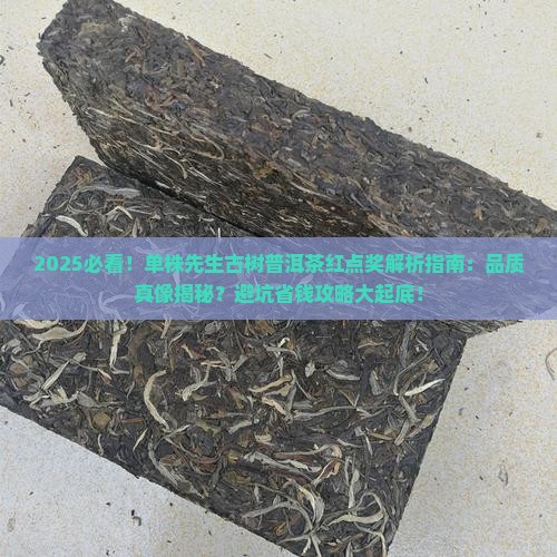 单株先生古树普洱茶红点奖