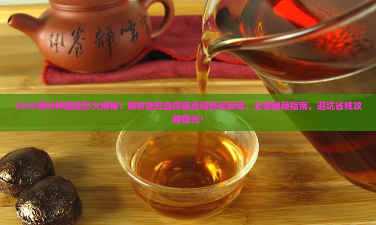 适合茶叶生长的地形