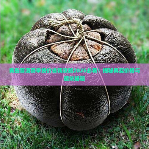 青岛普洱茶拿货价