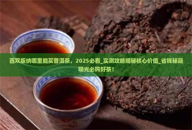 西双版纳哪里能买普洱茶