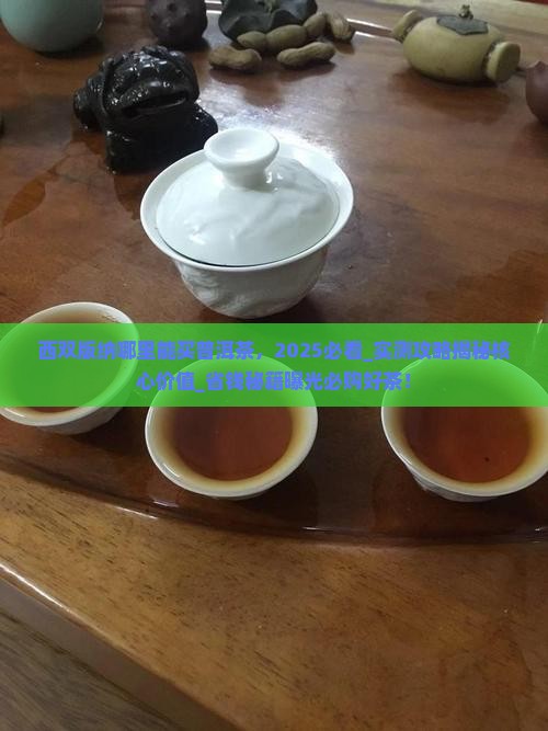 西双版纳哪里能买普洱茶