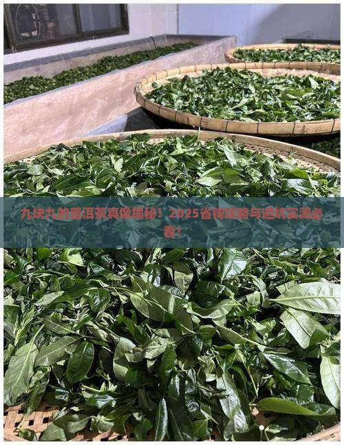 九块九的普洱茶价格