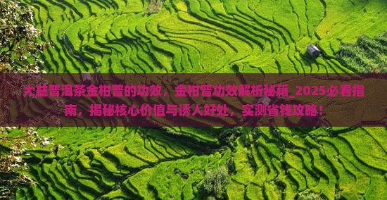 大益普洱茶金柑普的功效