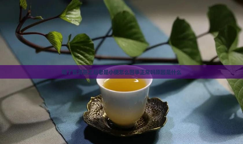 喝了普洱茶之后老是小便