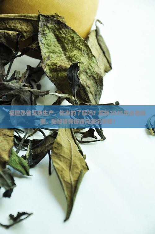 福建熟普洱茶生产