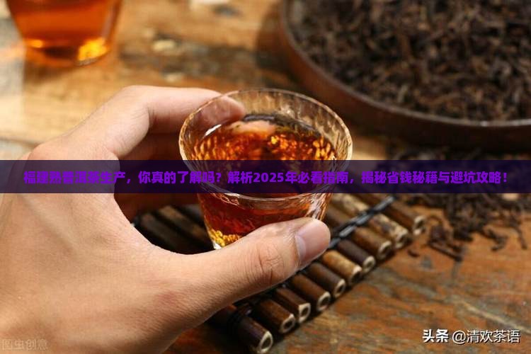 福建熟普洱茶生产