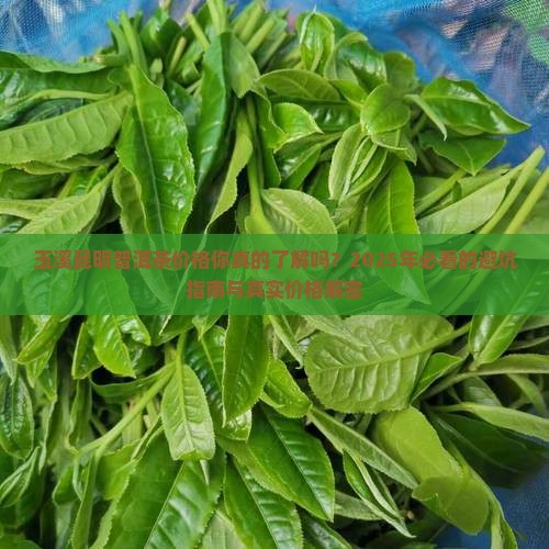 玉溪昆明普洱茶价格