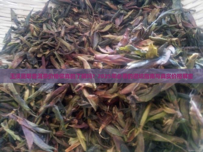 玉溪昆明普洱茶价格