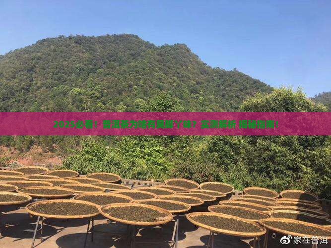 为啥普洱茶有臭脚丫的味道