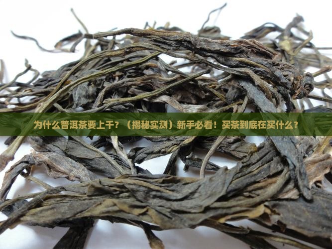 普洱茶为什么要上千 普洱茶为什么要上千