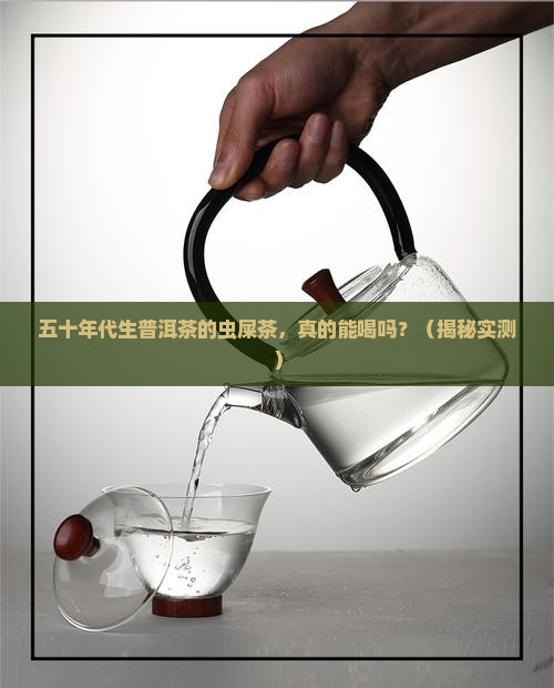 五十年代生普洱茶的虫屎茶