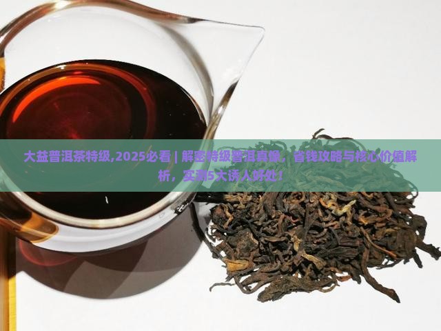大益普洱茶特级