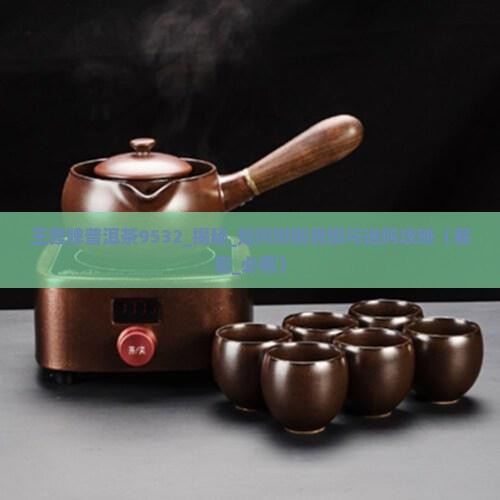 王霞牌普洱茶9532