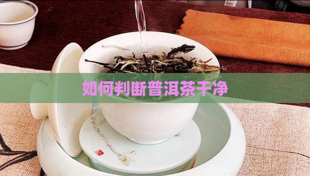 如何判断普洱茶干净