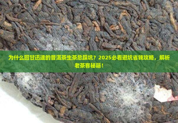 回甘迅速普洱茶生茶