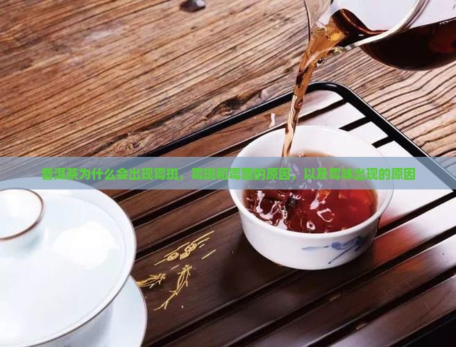 普洱茶为什么会出现霉斑