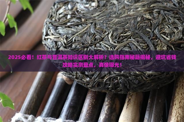 红茶和普洱茶知识区别大吗