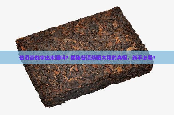 普洱茶能拿出来晒吗