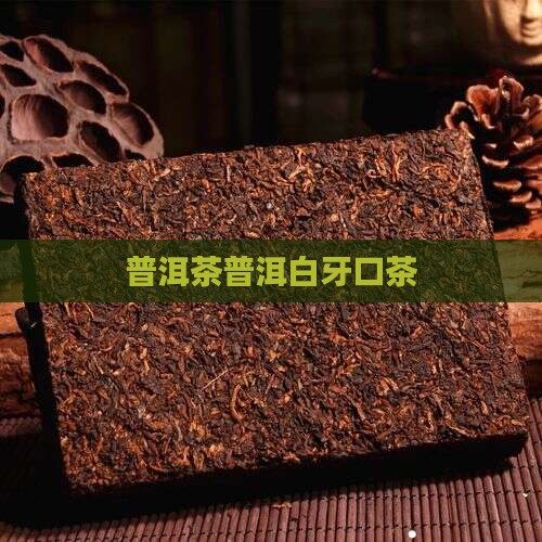 普洱茶白牙口茶
