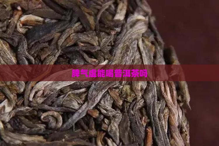 脾气虚能喝普洱茶吗