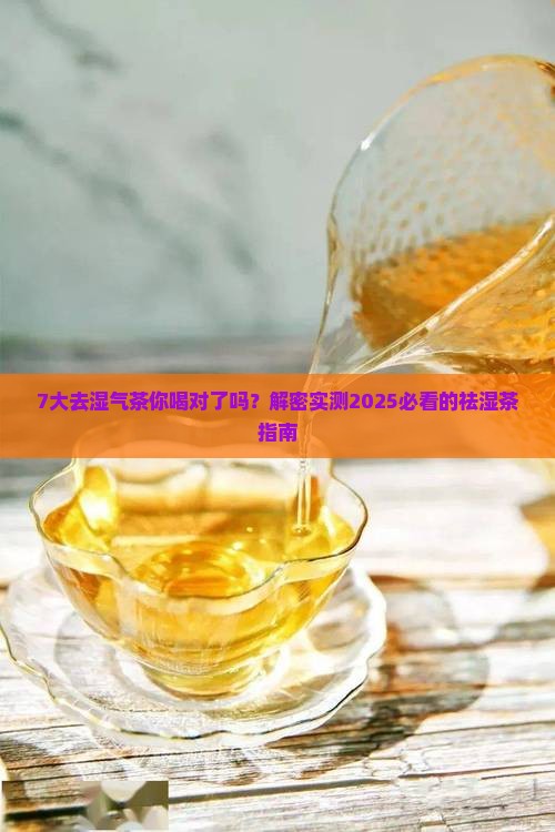 7大去除湿气的茶什么茶去湿气
