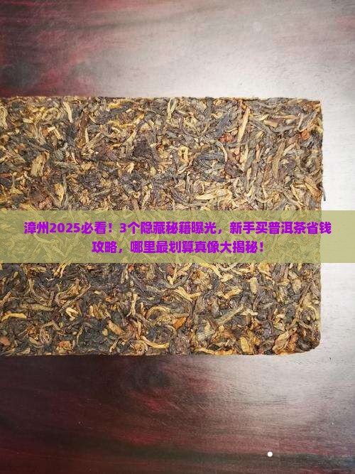 漳州哪里有普洱茶买的