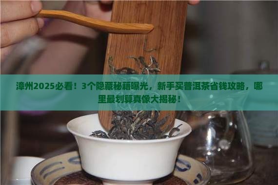 漳州哪里有普洱茶买的