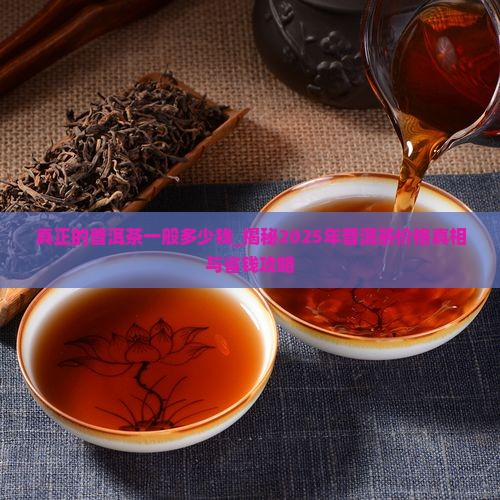 真正的普洱茶一般多少钱