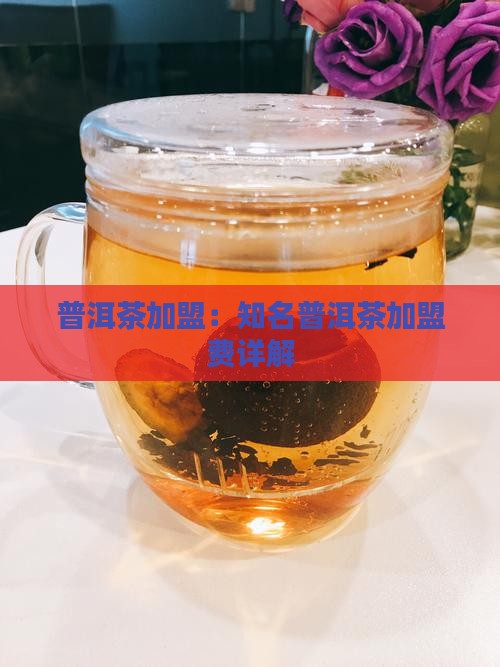 知名熟普洱茶怎么加盟