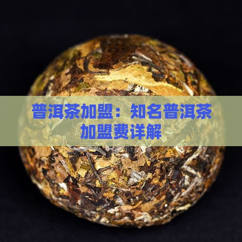 知名熟普洱茶怎么加盟
