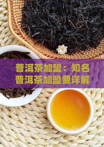 知名熟普洱茶怎么加盟