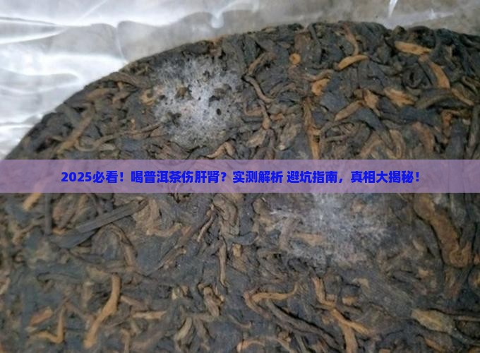 喝普洱茶伤肝肾吗 喝普洱茶伤肝肾吗