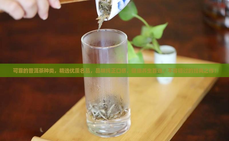 可靠的普洱茶种类