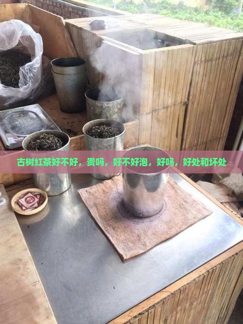 古树红茶好不好
